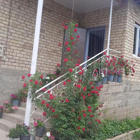 Guest House Kyzyl Alma Arkit Extérieur photo